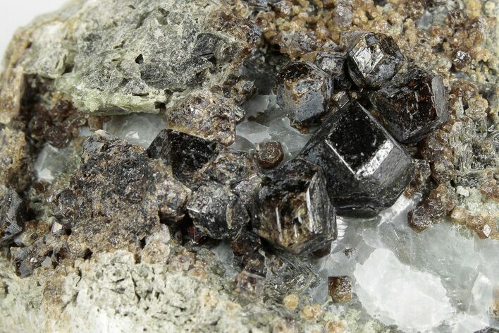 2.8" Black-Brown Garnets with Calcite - Mexico